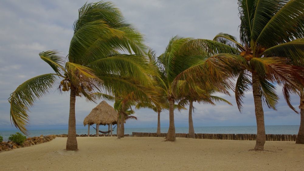 Hotel Royal Belize Thatch Caye Esterno foto